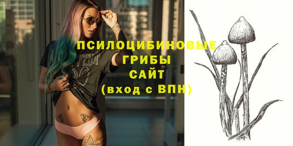 дурь Наволоки