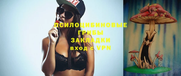 Альфа ПВП Нея