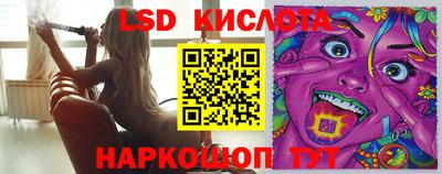 стафф Гай