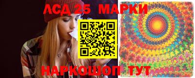 стафф Гай