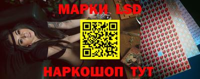 стафф Гай