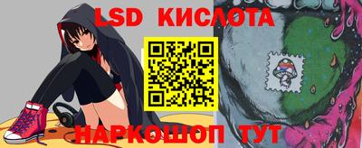 стафф Гай