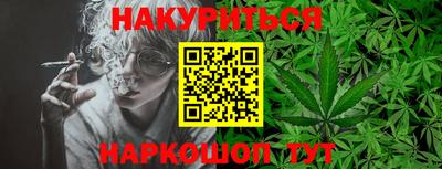 стафф Гай