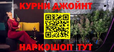 стафф Гай