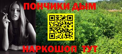 стафф Гай