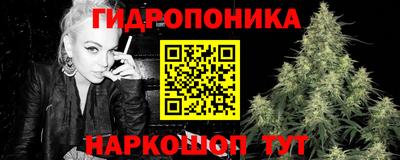 стафф Гай