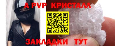стафф Гай
