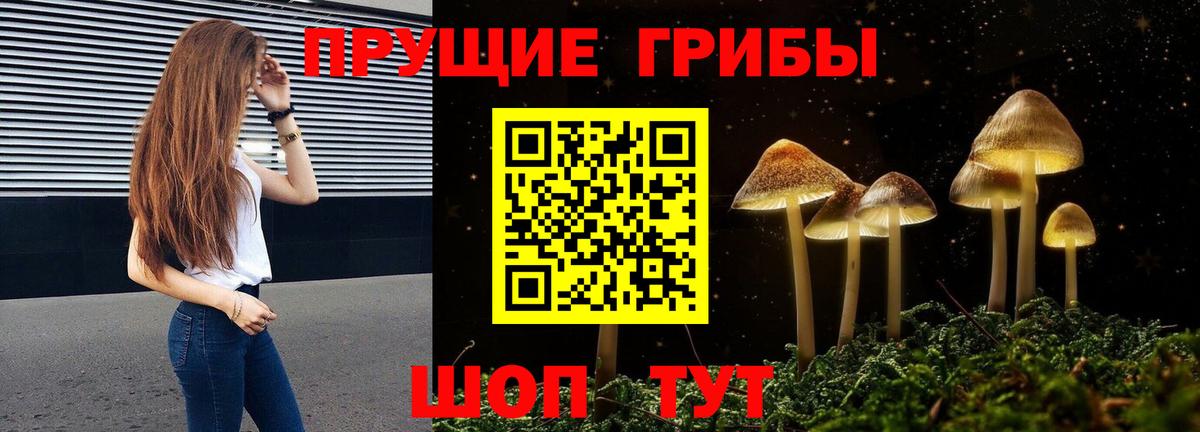 Галлюциногенные грибы Magic Shrooms Краснокамск