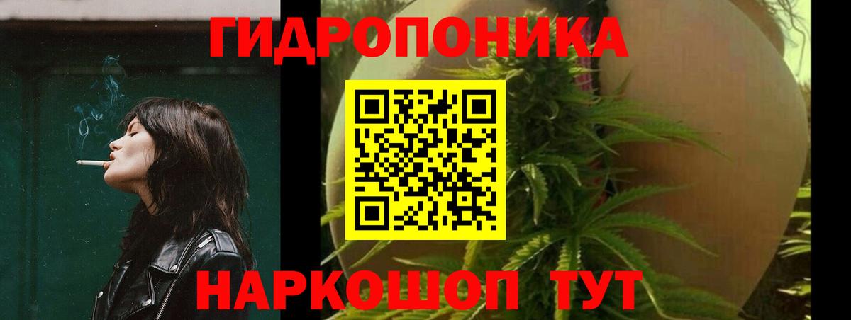 Краснокамск  Каннабис индика  Вход с VPN  Каннабис планчик 